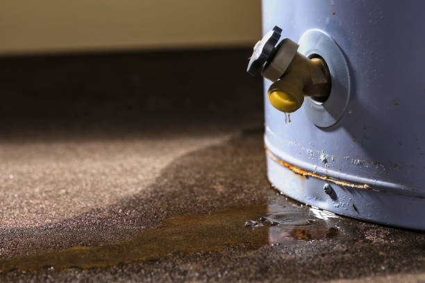 Best Water damage contractors near me  in Centennial, CO