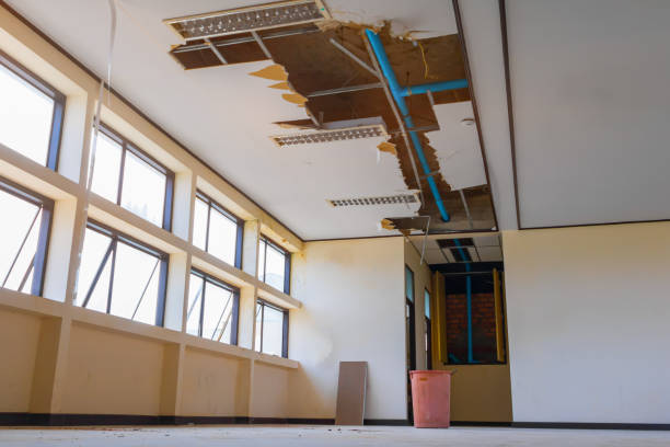 Best Residential water damage restoration  in Centennial, CO