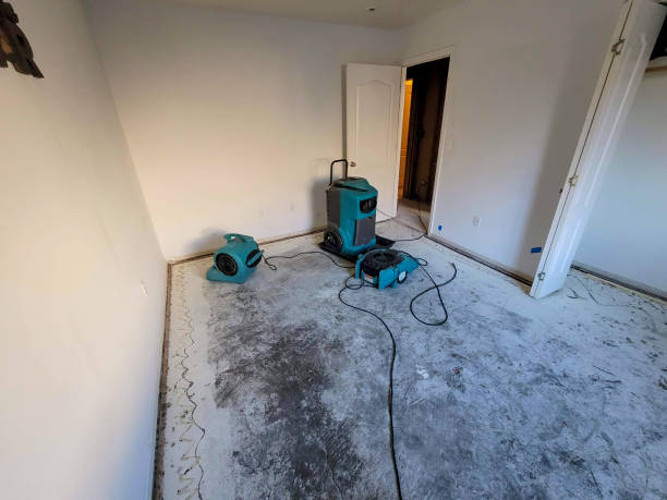 Best Sewage cleanup and water damage restoration  in Centennial, CO