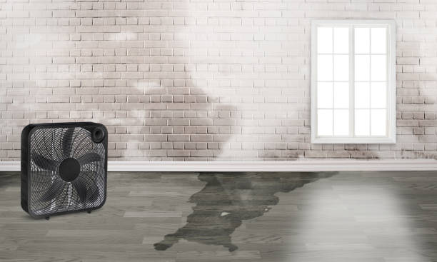 Best 24/7 water damage repair  in Centennial, CO