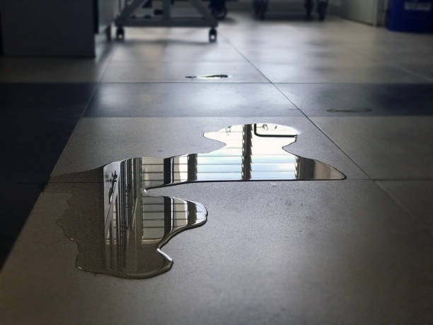 Reliable Centennial, CO Water damage restoration Solutions