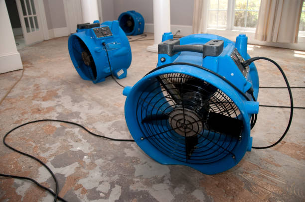  Centennial, CO Water damage restoration Pros
