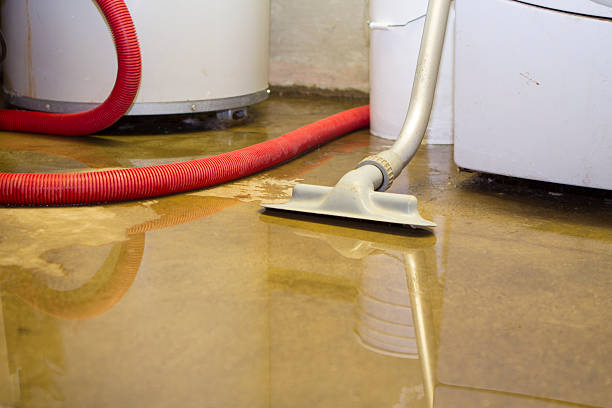 Best Mold removal after water damage  in Centennial, CO