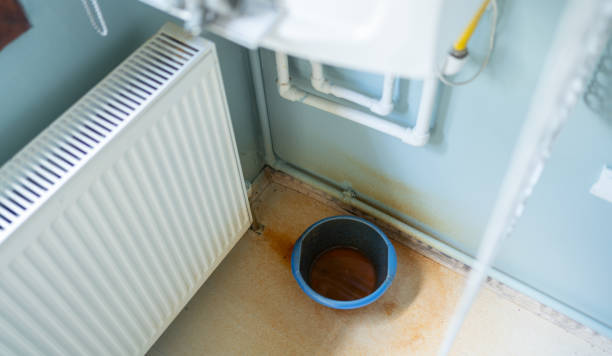 Best Water damage cleanup near me  in Centennial, CO