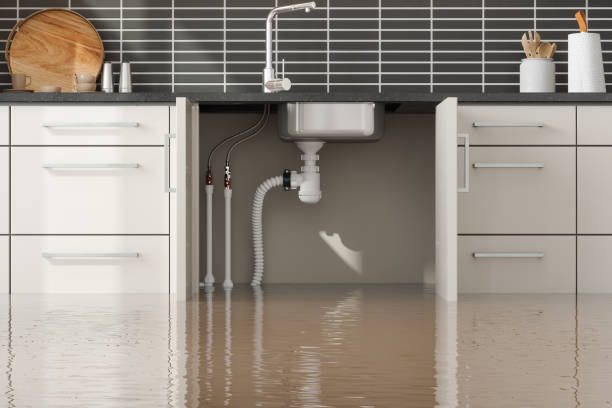 Best Water damage restoration near me  in Centennial, CO