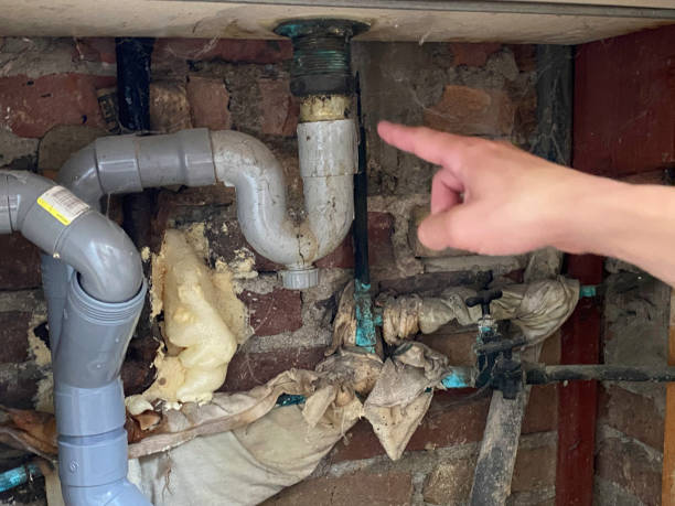 Best Flood restoration services  in Centennial, CO