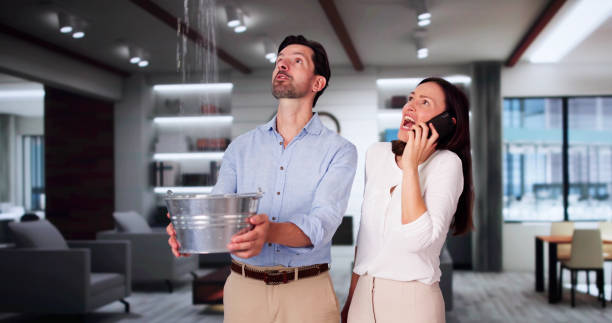 Best Professional water damage repair  in Centennial, CO