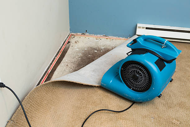 Best 24-hour water damage restoration  in Centennial, CO